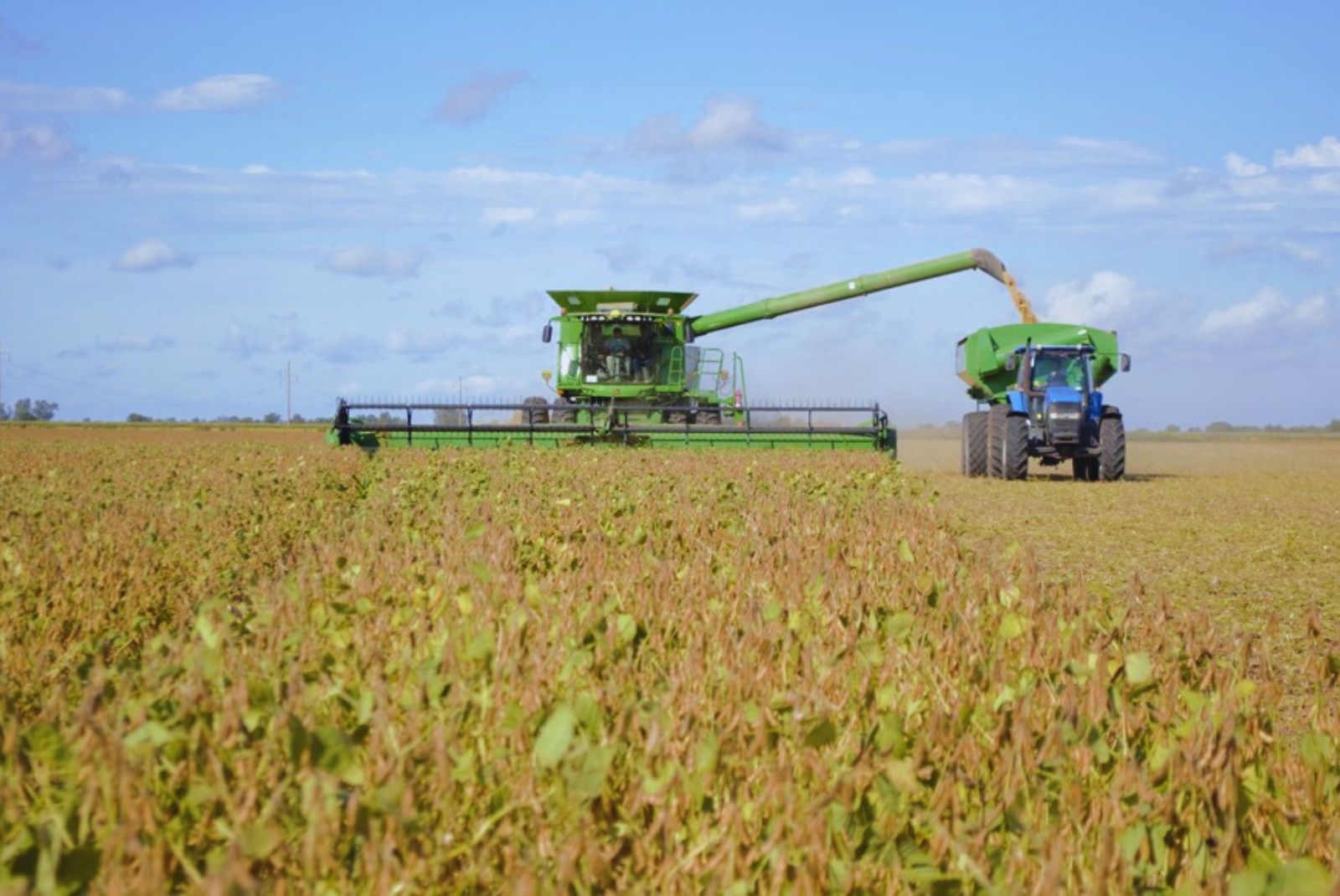 Cosechadora trabajando en el campo, simbolizando la compra directa de chacra